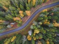 Aerial view of thick forest in autumn with road cutting through Royalty Free Stock Photo