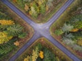 Aerial view of thick forest in autumn with road cutting through Royalty Free Stock Photo