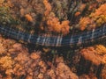 Aerial view of thick forest in autumn with  road cutting through. Russia, St. Petersburg Royalty Free Stock Photo