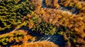 Aerial view of thick forest in autumn with road passing through