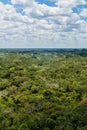 Aerial view of the thick jungle around the ruins of the Mayan city Coba, Mexi Royalty Free Stock Photo