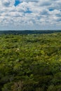 Aerial view of the thick jungle around the ruins of the Mayan city Coba, Mexi Royalty Free Stock Photo