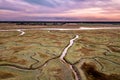 Aerial view of tidal marshland Royalty Free Stock Photo