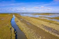 Aerial view Tidal Marshland  Waddensea UNESCO Royalty Free Stock Photo