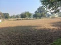 aerial view of a tilled lands for farming and agriculture in rural India