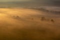 Aerial view to autumn trees in misty gold fog, Czech landscape