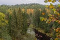 Aerial view to Brasla river running through green and yellow forest in autumn. Royalty Free Stock Photo