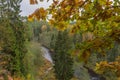 Aerial view to Brasla river running through green and yellow forest in autumn. Royalty Free Stock Photo