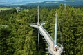 Canopy walkway in nature park landscape aerial view