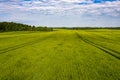 Aerial view to countryside with green agricultural fields and forests Royalty Free Stock Photo