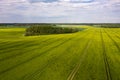 Aerial view to countryside with green agricultural fields and forests Royalty Free Stock Photo