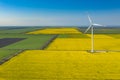 Aerial view to isolated wind turbine in yellow rapeseed fields