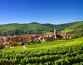 Aerial view to Kaysersberg village, old castle Royalty Free Stock Photo