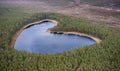 Aerial view to the natural heart-shaped forest lake on Parika nature reserve, Viljandi, Estonia