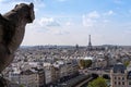 View to Paris and Eiffel Tower from Notre Dame de Paris