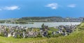 Aerial view to scenic vineyards in Ruedesheim
