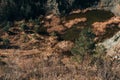 Aerial view to swamped quarry with high dry grass, trees and pond, Czech republic, colored photo Royalty Free Stock Photo