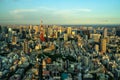 Aerial view of Tokyo City with the famous red Tokyo Tower under a blue sky Royalty Free Stock Photo