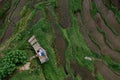 Aerial view on top. Two lovers of young people lie on a wooden bridge. Happy couple traveling at Bali, rice terraces of Royalty Free Stock Photo