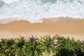 Aerial view top views Beautiful tropical beach with white sand coconut palm trees and sea. Top view empty and clean beach. Waves Royalty Free Stock Photo