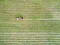 Aerial view of a tractor making hay cubes Royalty Free Stock Photo