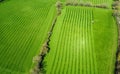 Aerial view of a tractor mowing a green field. Royalty Free Stock Photo