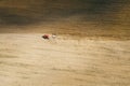 Aerial View. Tractor With Seed Drill Machine Sowing The Seeds For Crops In Spring Season. Beginning Of Agricultural