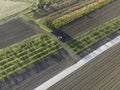 Aerial view of a tractor working in an agricultural field at sunset near Aquileia, Udine, Friuli Venezia Giulia, Italy Royalty Free Stock Photo