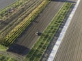 Aerial view of a tractor working in an agricultural field at sunset near Aquileia, Udine, Friuli Venezia Giulia, Italy Royalty Free Stock Photo