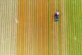 Tractor working on the tulip field Royalty Free Stock Photo