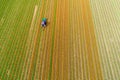 Tractor working on the tulip field Royalty Free Stock Photo