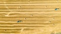 Aerial view of tractors as tow trailed bale machines to collect straw from harvested field