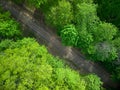 Aerial view of a train railroad in the green forest. children`s narrow gauge railway