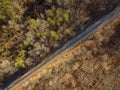 Aerial view of train tracks running through forest Royalty Free Stock Photo