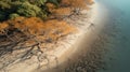 Aerial View Of Tranquil Secluded Beach, Captivating Mangrove Forest In Golden Tones