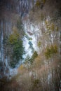 Aerial view of a tranquil winter scene with a snow-covered forest landscape with a winding river Royalty Free Stock Photo