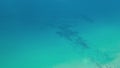 Aerial view of transparent sea ocean water