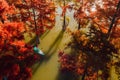 Aerial view with traveller relaxing on stand up paddle board at swamp lake with autumnal Taxodium trees Royalty Free Stock Photo