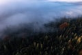 Aerial view of trees covered with hoarfrost in morning. Misty autumn forest. Drone photography Royalty Free Stock Photo