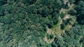Aerial view of the trees. Forest. Summer. Day. Kiev. Ukraine. Royalty Free Stock Photo