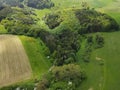 Aerial view of trees in a green grassy landscape Royalty Free Stock Photo