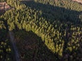 An aerial view of Haldon forest in Devon, UK