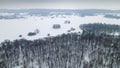 Aerial view of trees without leaves in snow covered ground. White winter scenery. Nature concept Royalty Free Stock Photo