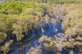 Aerial view of trees in Rayong Botanical Garden, Old Paper Bark Forest, tropical forest with lake or river in national park and Royalty Free Stock Photo