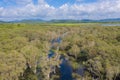 Aerial view of trees in Rayong Botanical Garden, Old Paper Bark Forest, tropical forest with lake or river in national park and