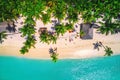Aerial view of tropical beach. Saona island, Dominican republic. Royalty Free Stock Photo