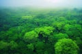 Aerial view of tropical forest filled with lots of green trees. Generative AI