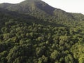 Aerial view of tropical forest in Karimunjawa, Indoensia, above trees and nature forest top down view