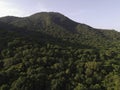 Aerial view of tropical forest in Karimunjawa, Indoensia, above trees and nature forest top down view