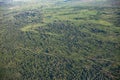 Aerial view of the tropical landscape of South Sudan